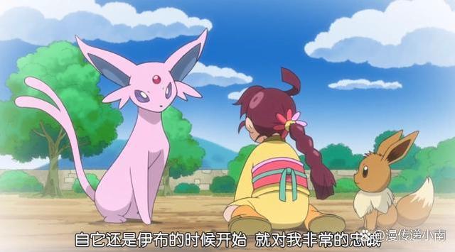 详细阅读:搭档伊布(搭档伊布和普通伊布的区别) 搭档伊布(搭档伊布和普通伊布的区别)